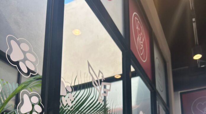 Ofrece Gobierno de Carlos Peña Ortiz servicios médicos del Hospital Veterinario Municipal