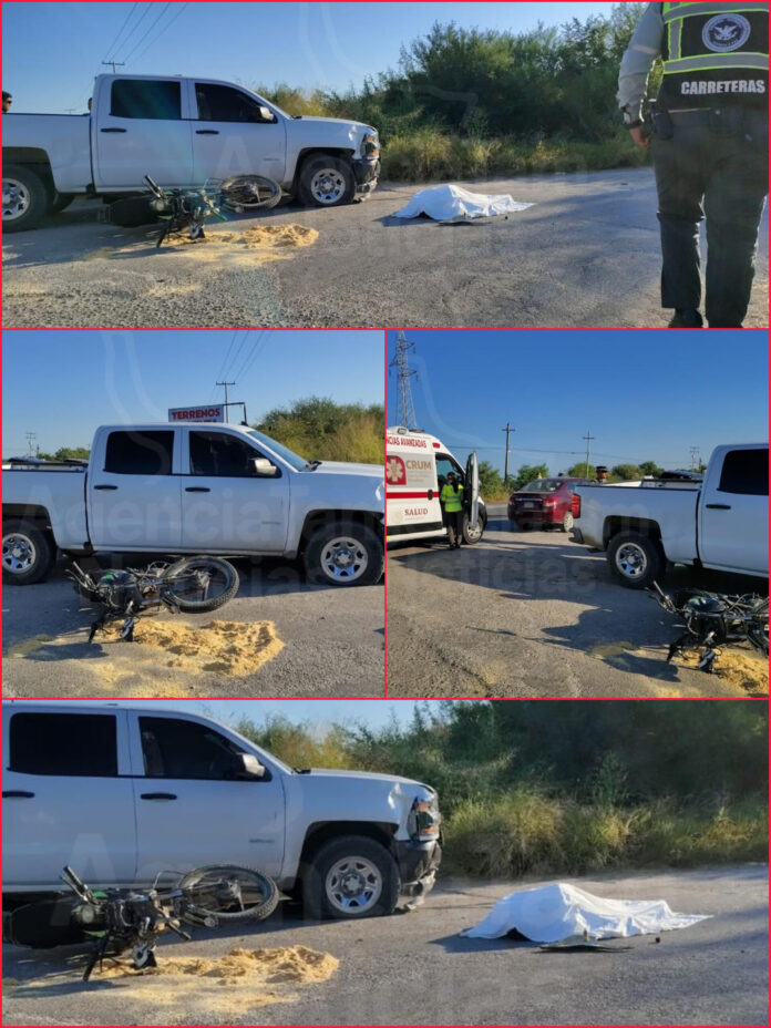 InShot_20251103_102011512