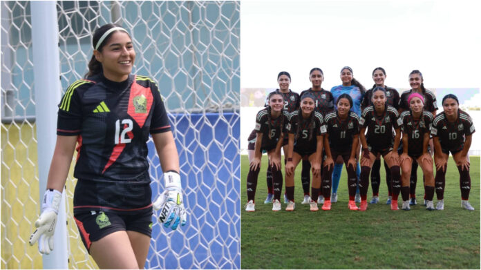 InShot_20251108_165214325