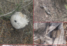 Restos humanos son hallados en brecha El Berrendo, en Reynosa