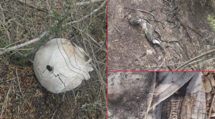 Restos humanos son hallados en brecha El Berrendo, en Reynosa