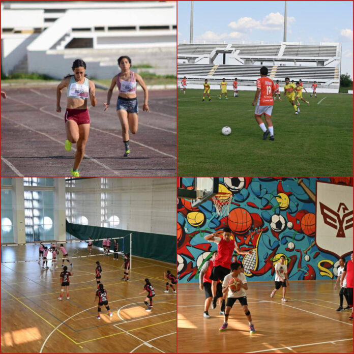 InShot_20251110_172234349