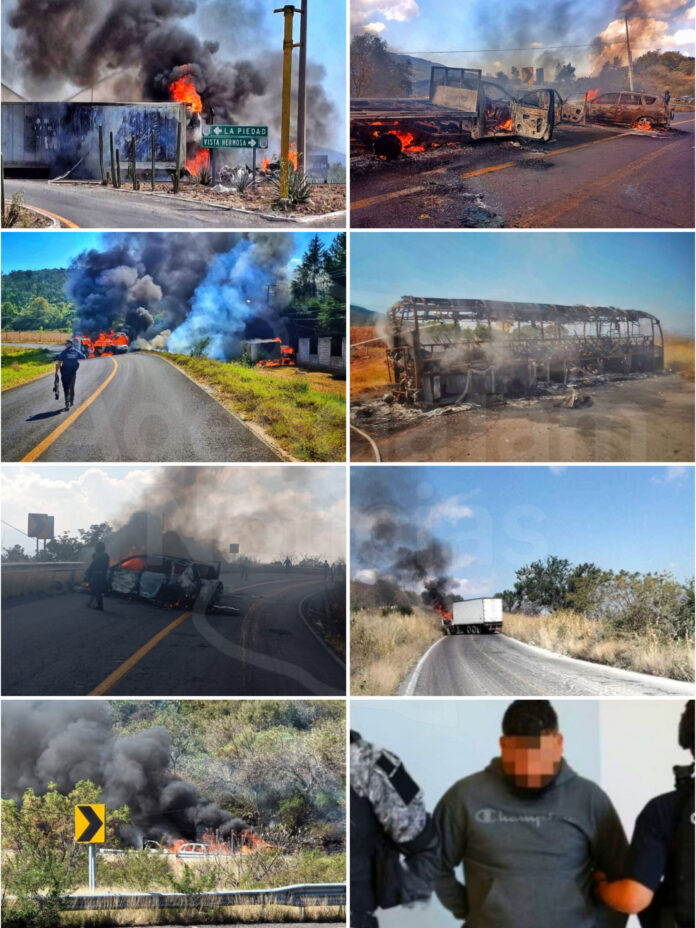 InShot_20251117_161344039