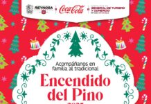 Asiste hoy domingo 7 al Encendido del Pino en la Plaza de la República