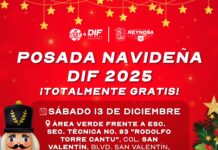 Hoy sábado Posada Navideña 2025 DIF-Reynosa en la colonia San Valentín