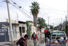 Realizó COMAPA acciones de mantenimiento en la colonia Pedro J. Méndez