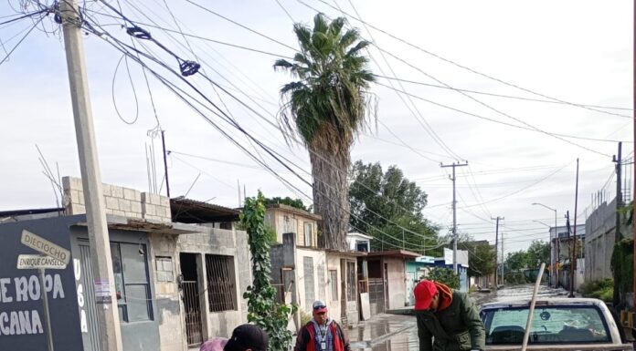 Realizó COMAPA acciones de mantenimiento en la colonia Pedro J. Méndez