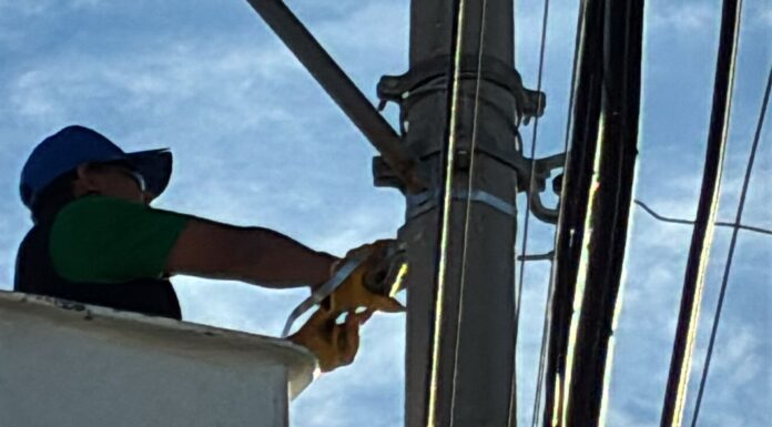 Efectúa Gobierno actividades de limpieza y mantenimiento en Reynosa