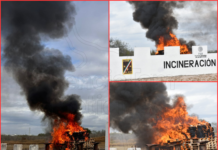 Incineran más de 445 kilos de drogas en operativo conjunto