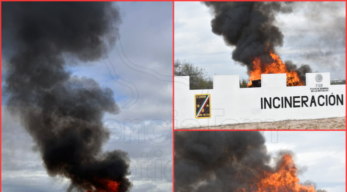 Incineran más de 445 kilos de drogas en operativo conjunto