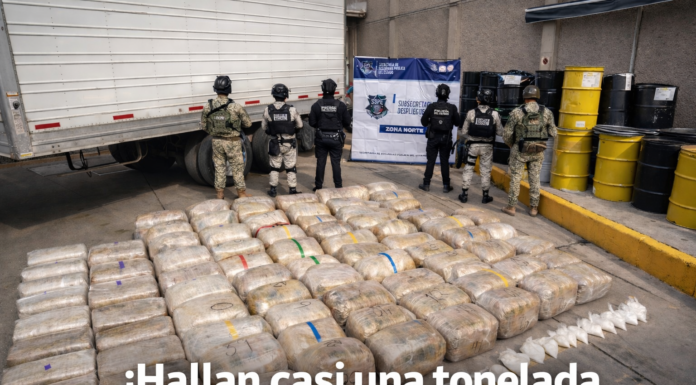Detienen a conductor con casi una tonelada de droga durante revisión federal