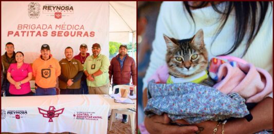 Reynosa impulsa registro CURMA para proteger mascotas