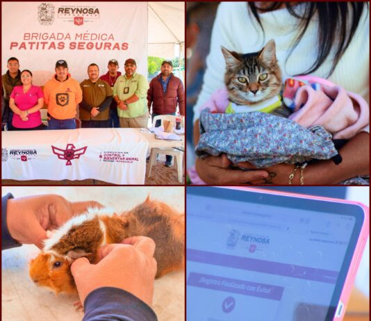 Reynosa impulsa registro CURMA para proteger mascotas