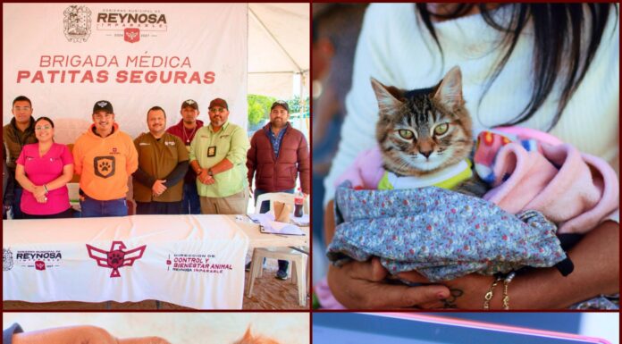 Reynosa impulsa registro CURMA para proteger mascotas
