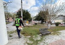 Trabaja Gobierno de Carlos Peña Ortiz por una Reynosa limpia