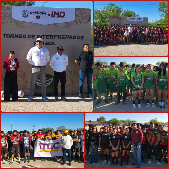 InShot_20260321_131633425