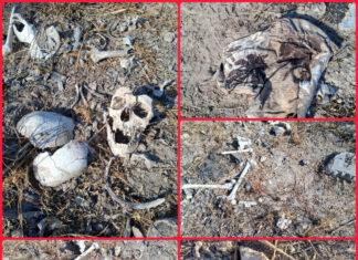 Colectivo reporta hallazgo de restos humanos en Reynosa