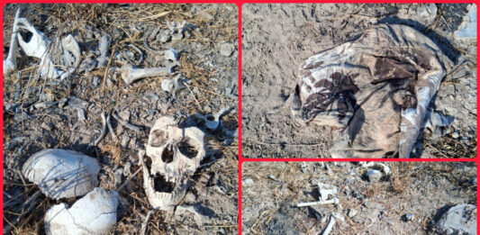 Colectivo reporta hallazgo de restos humanos en Reynosa