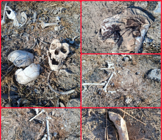 Colectivo reporta hallazgo de restos humanos en Reynosa