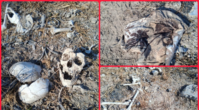 Colectivo reporta hallazgo de restos humanos en Reynosa