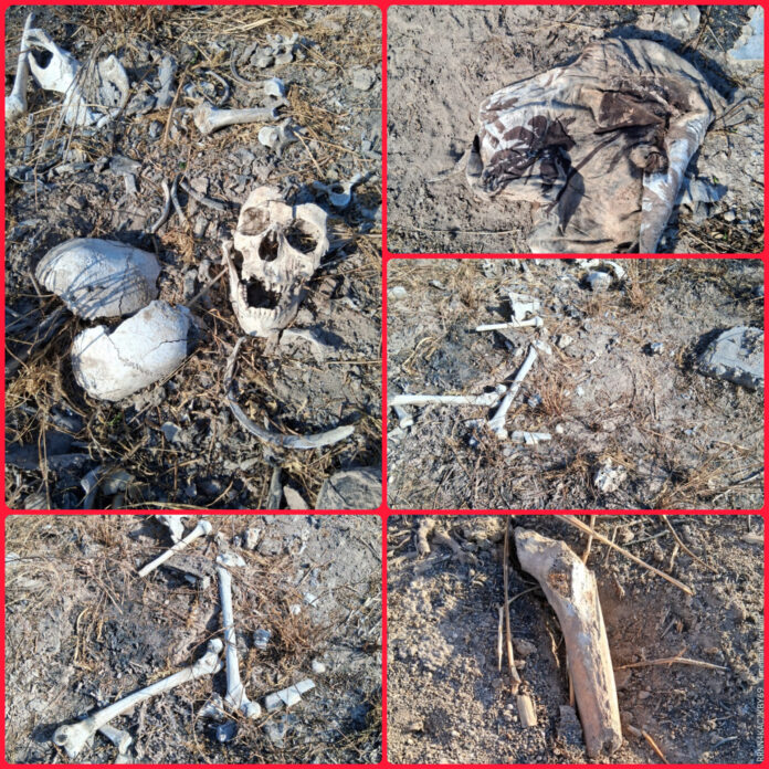 InShot_20260329_205622347