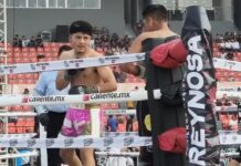 Brillaron boxeadores reynosenses en función de box internacional