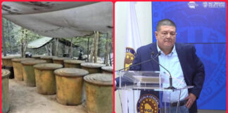 Mueren cuatro en desplome de unidad oficial en la sierra de Chihuahua durante operativo antidrogas