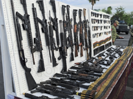 Destruyen más de 800 armas decomisadas para evitar su reutilización en delitos