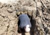 Atendió COMAPA fugas de agua potable en diversos sectores