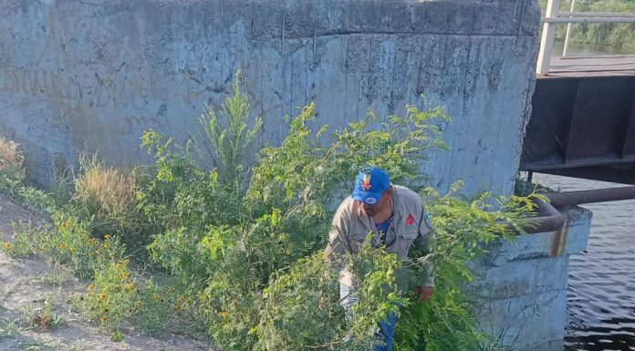 Realiza Gobierno de Reynosa trabajo de mantenimiento en el canal Anzaldúas
