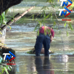 Hallan cuerpo sin vida en canal de riego de Ciudad Mante