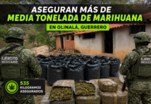 Aseguran más de media tonelada de marihuana en operativo conjunto en Olinalá, Guerrero