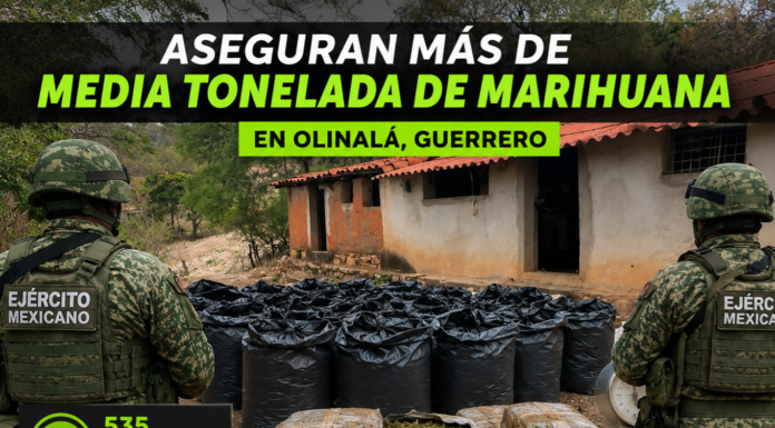 Aseguran más de media tonelada de marihuana en operativo conjunto en Olinalá, Guerrero