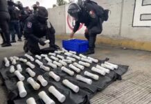Aseguran 59 artefactos explosivos durante operativo en la caseta de Tlalpan