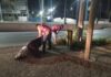 Avanza manteniendo urbano de Reynosa mediante trabajo nocturno del Municipio
