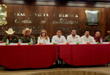 Gobierno de Beto Granados refuerza acciones contra el cancro cítrico en Matamoros