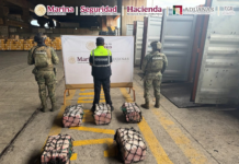 Aseguran 137 kilos de presunta cocaína en puerto de Lázaro Cárdenas; detienen a cinco extranjeros