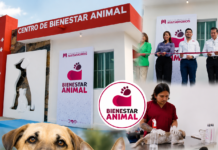 Centro de Bienestar Animal transforma la atención en Matamoros