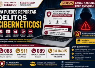 Habilitan plataforma nacional para reportar delitos cibernéticos de forma segura y confidencial