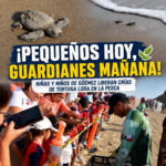 Niñas y niños de Güémez participan en la liberación de crías de tortuga lora en La Pesca
