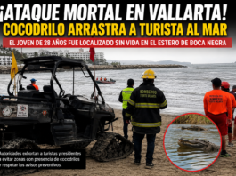 Turista muere tras ataque de cocodrilo en playa de Puerto Vallarta