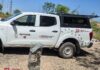 Libera Gobierno de Reynosa a mapache en su hábitat