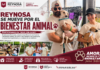Control y Bienestar Animal participa en Move for Paws