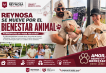 Control y Bienestar Animal participa en Move for Paws