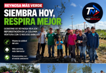 Impulsa Gobierno de Reynosa más espacios verdes con jornada de reforestación en la colonia Ventura