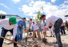 Participa Reynosa en Jornada Nacional de Reforestación 2026