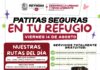 Visitará brigada veterinaria “Patitas Seguras en tu Refugio” a tres recintos