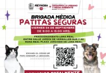 Realizará DIF-Reynosa brigada en la colonia Benito Juárez
