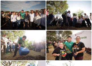 Beto Granados participa en Jornada Nacional de Reforestación con plantación de 100 árboles en Matamoros
