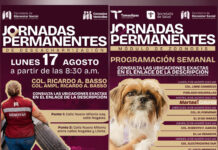 Matamoros mantiene jornadas de zoonosis y descacharrización en colonias y comunidades